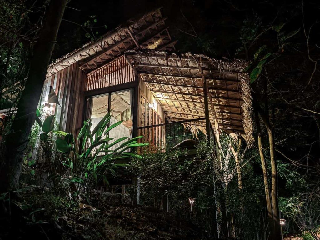 Deluxe double room night lush natural roofing