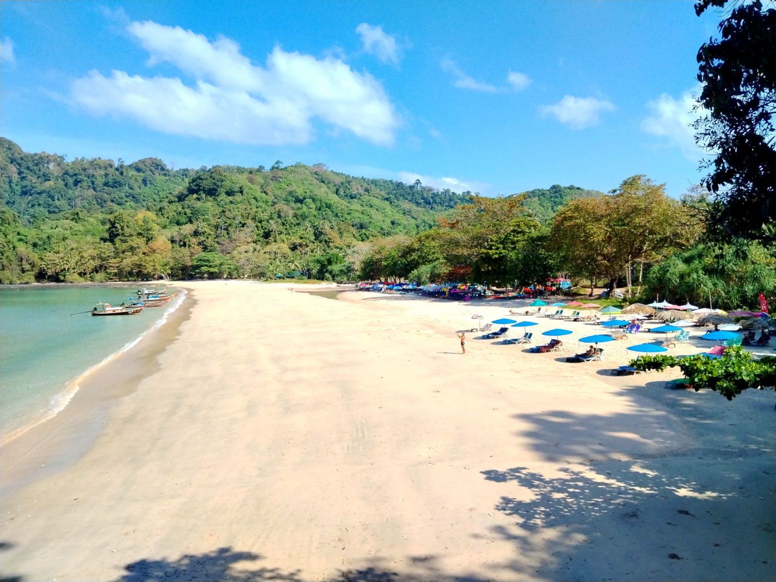 IMG 20240129 171039 scaled