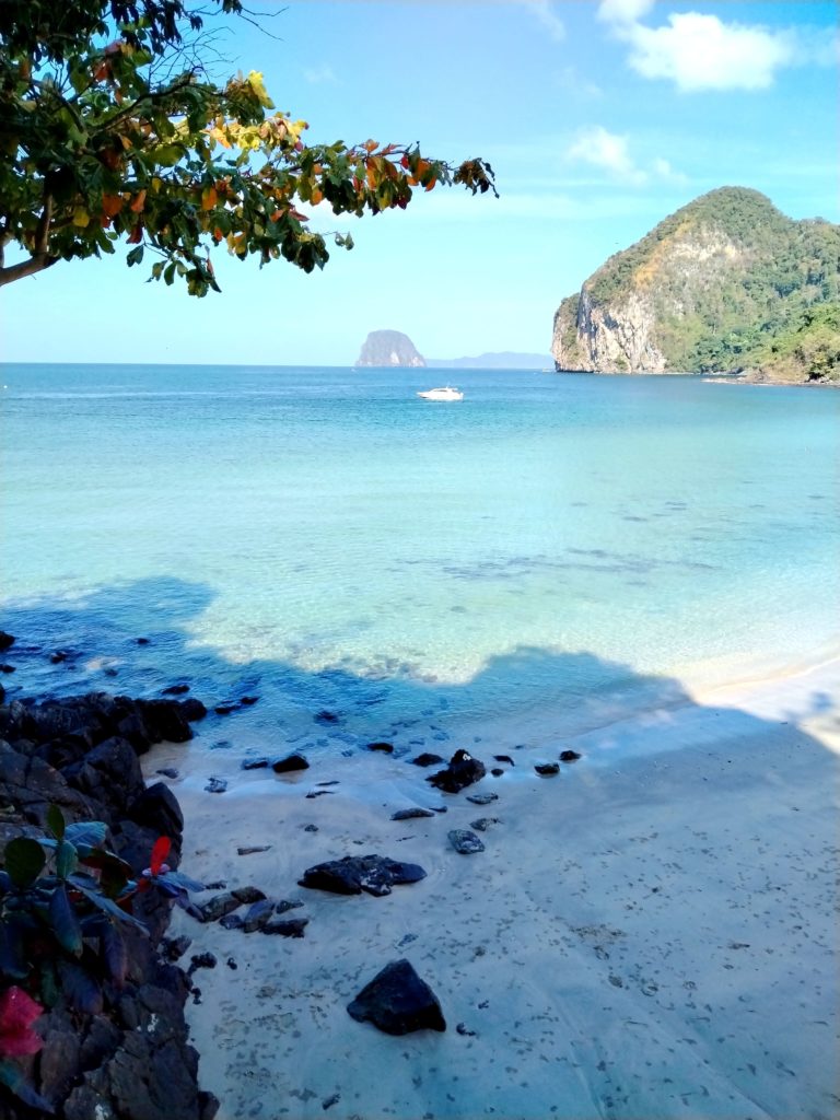 IMG 20240129 171136 à l'échelle