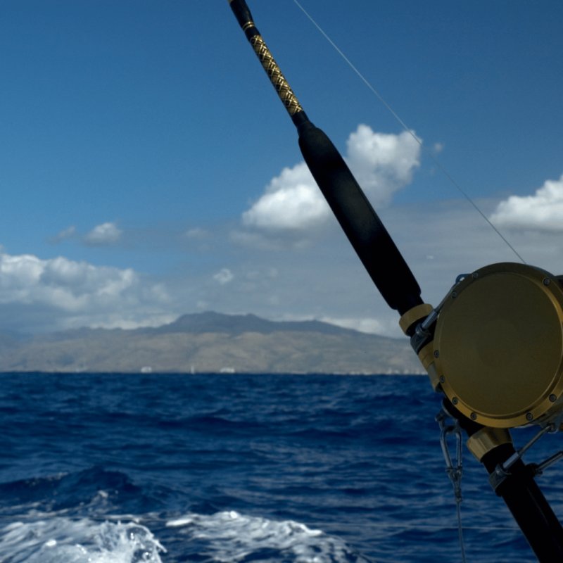 Design ohne Titel 36