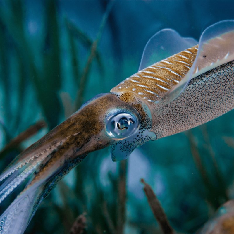 Design sans titre 38