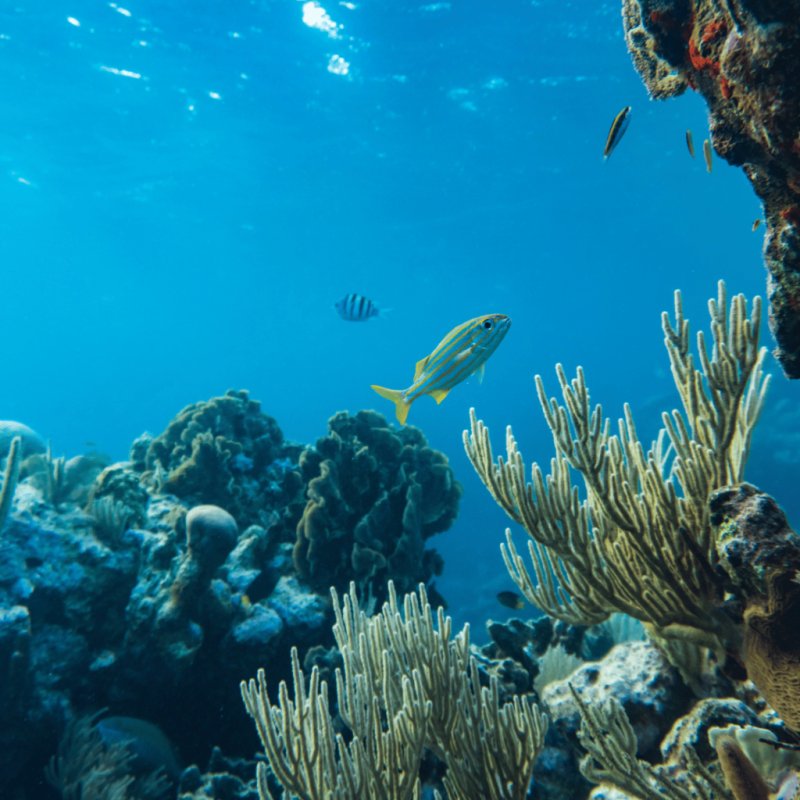 Design sans titre 41