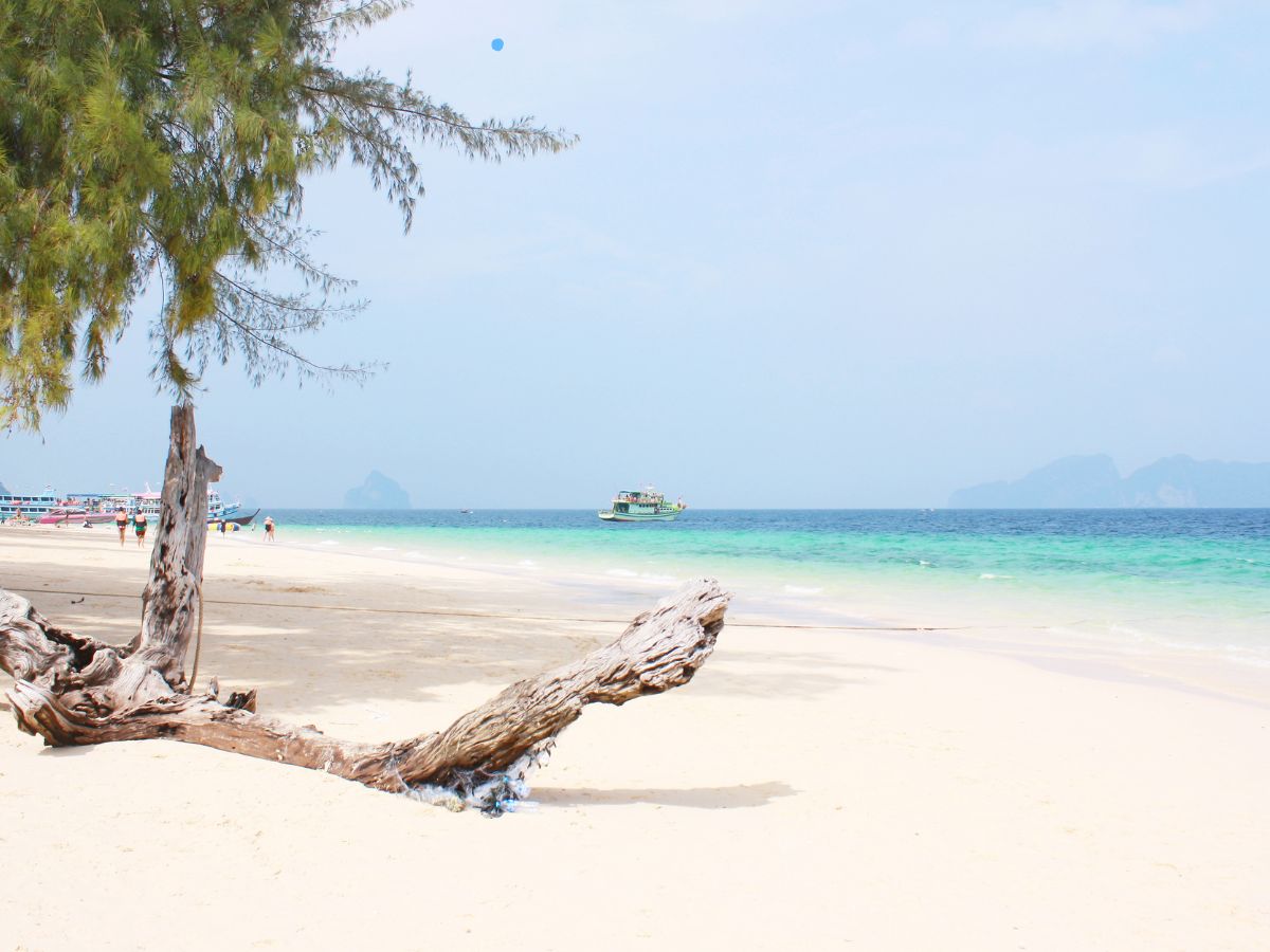 Design ohne Titel 11