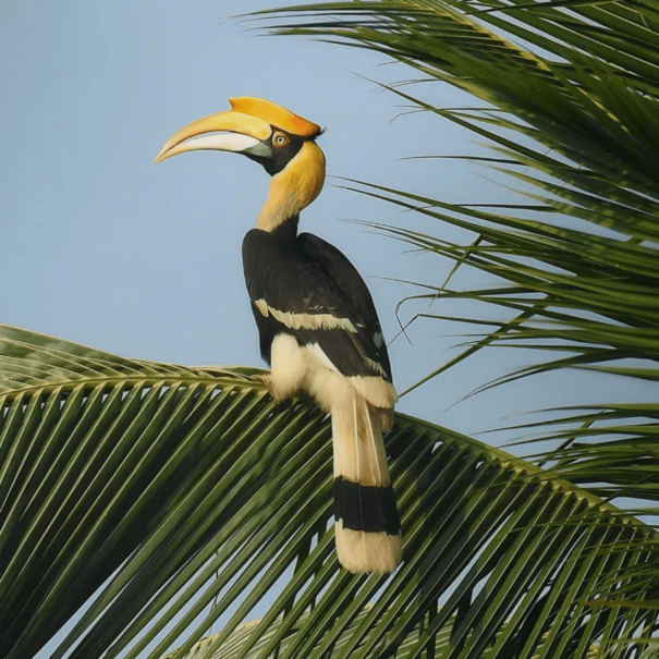 Bildschirmfoto 2024 03 18 153956 1