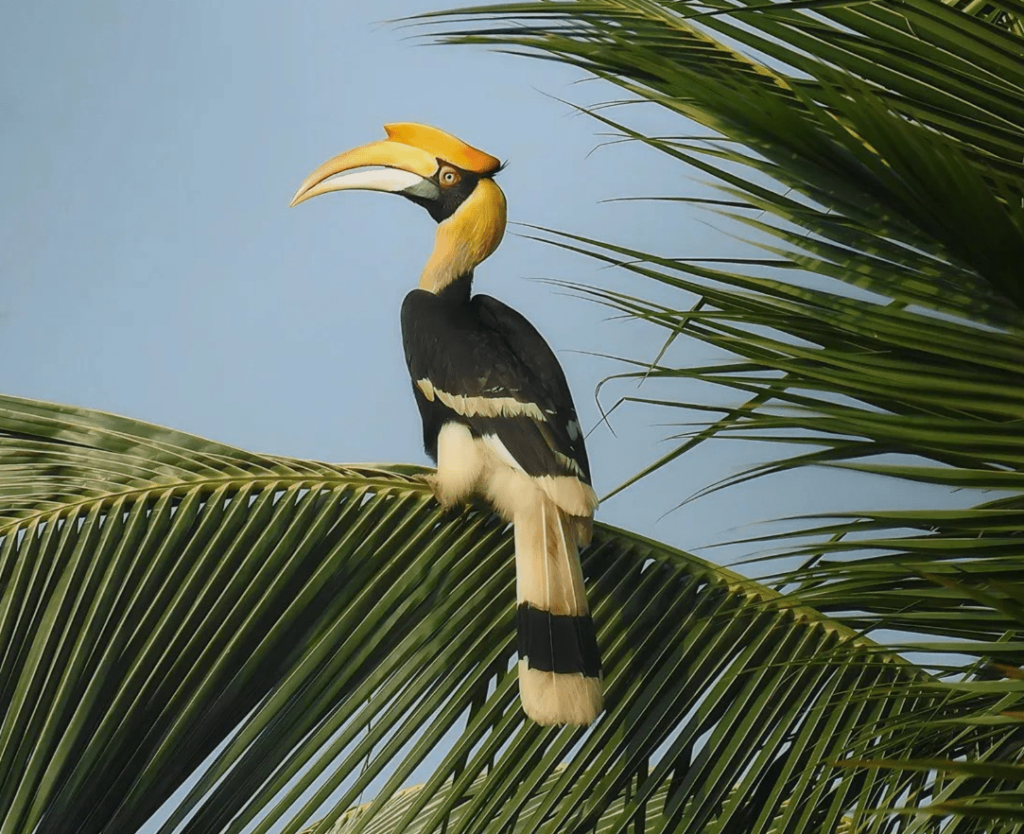 Screenshot 2024 03 18 153956 2