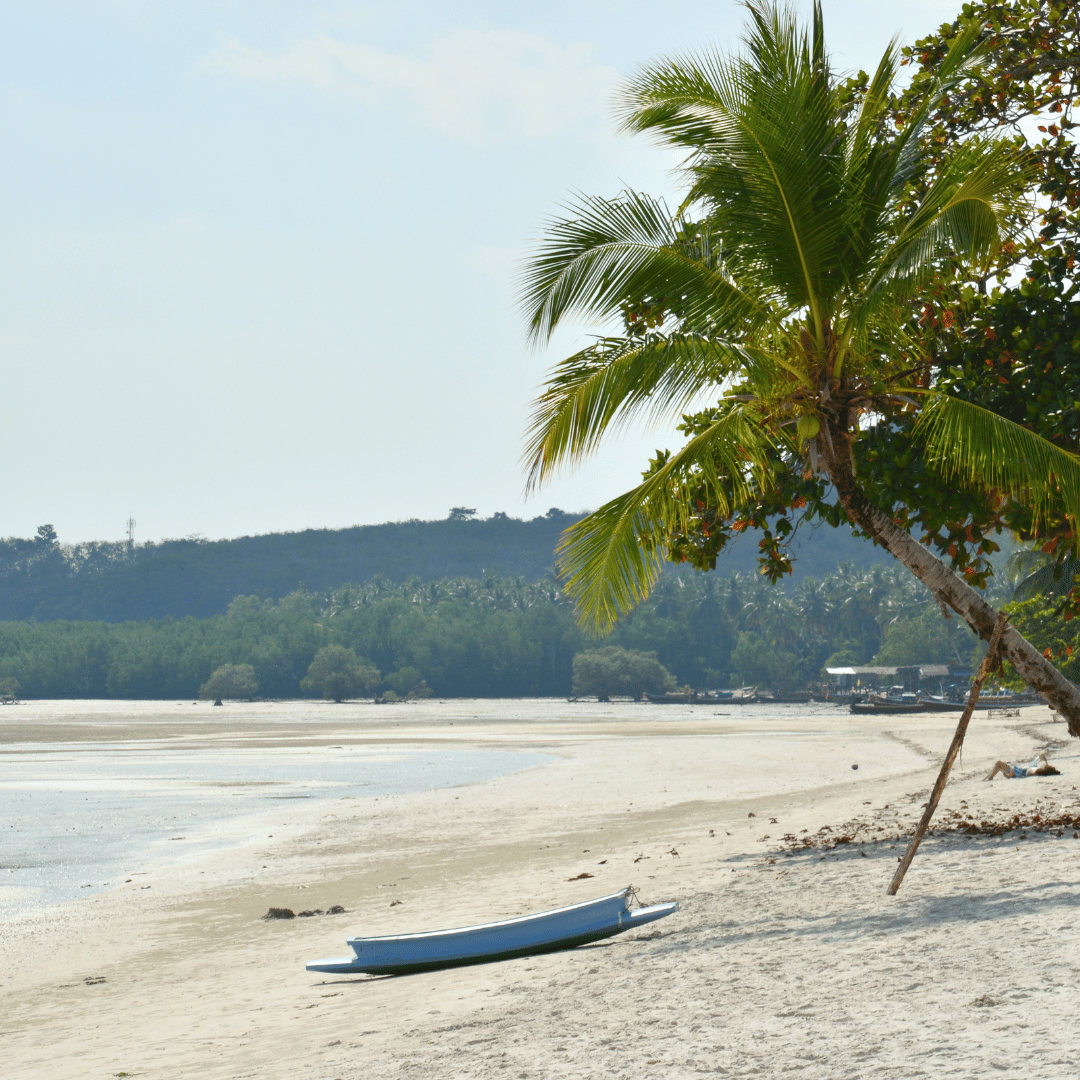 Design sans titre 48