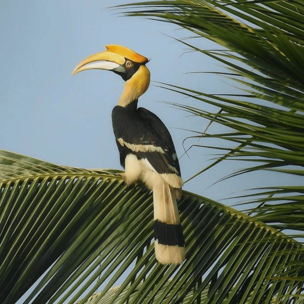 Screenshot 2024 03 18 153956 1